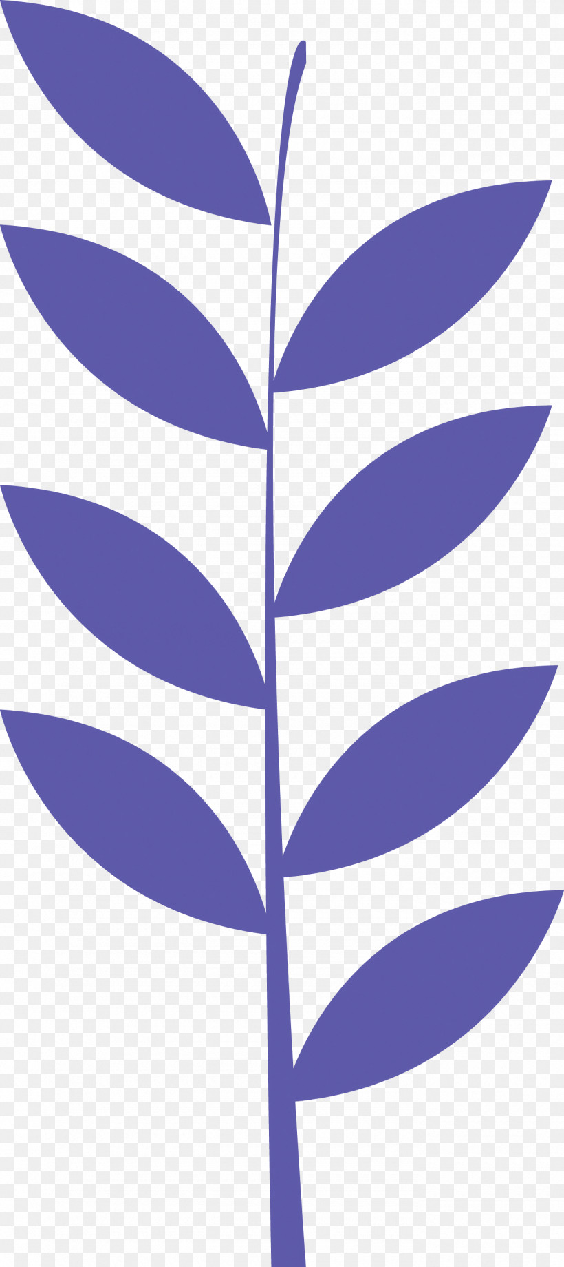Mexican Elements, PNG, 1380x3097px, Mexican Elements, Biology, Branch, Flower, Leaf Download Free