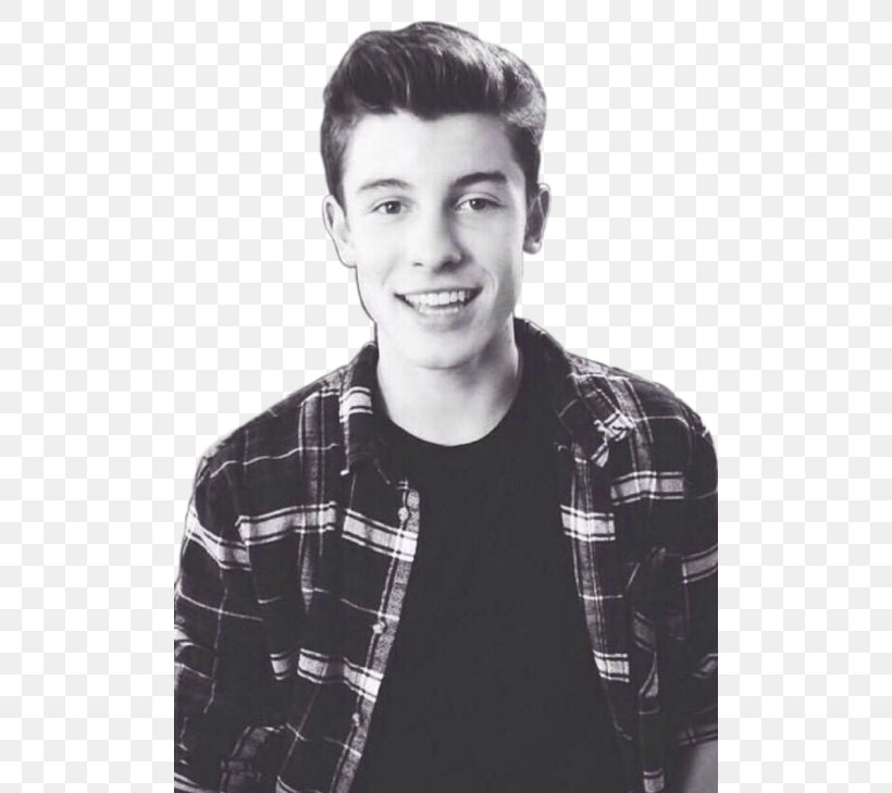 Shawn Mendes Jack & Jack Eye Male, PNG, 500x729px, Shawn Mendes, Black And White, Chin, Cool, Eye Download Free