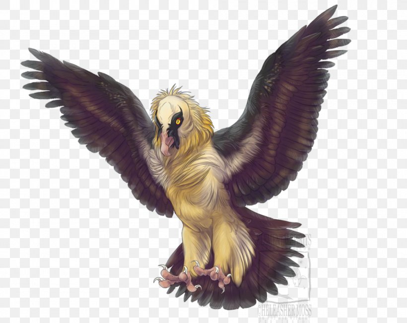 Fauna Beak Wildlife, PNG, 1000x794px, Fauna, Beak, Bird, Bird Of Prey, Eagle Download Free