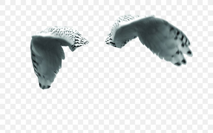 Owl Bird Of Prey Vertebrate Falcon, PNG, 1920x1200px, Owl, Animal, Bird, Bird Of Prey, Deviantart Download Free