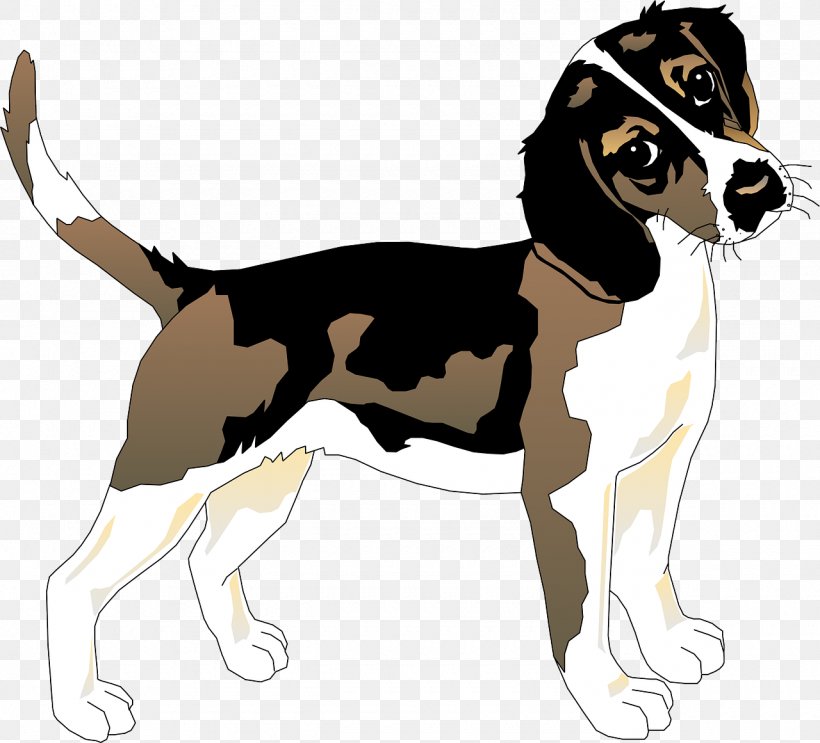 Beagle Basset Hound Siberian Husky Puppy, PNG, 1280x1161px, Beagle, American Foxhound, Basset Hound, Carnivoran, Coonhound Download Free