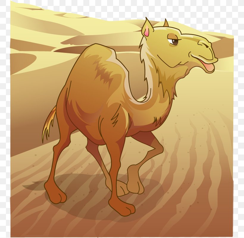 Dromedary Bactrian Camel Desert Clip Art, PNG, 753x801px, Dromedary, Arabian Camel, Bactrian Camel, Camel, Camel Like Mammal Download Free
