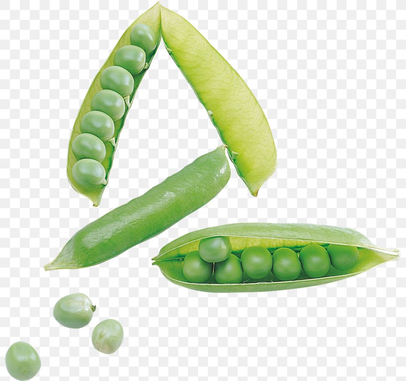 Snap Pea Snow Pea Pigeon Pea Clip Art, PNG, 800x769px, Snap Pea, Bean, Commodity, Food, Fruit Download Free