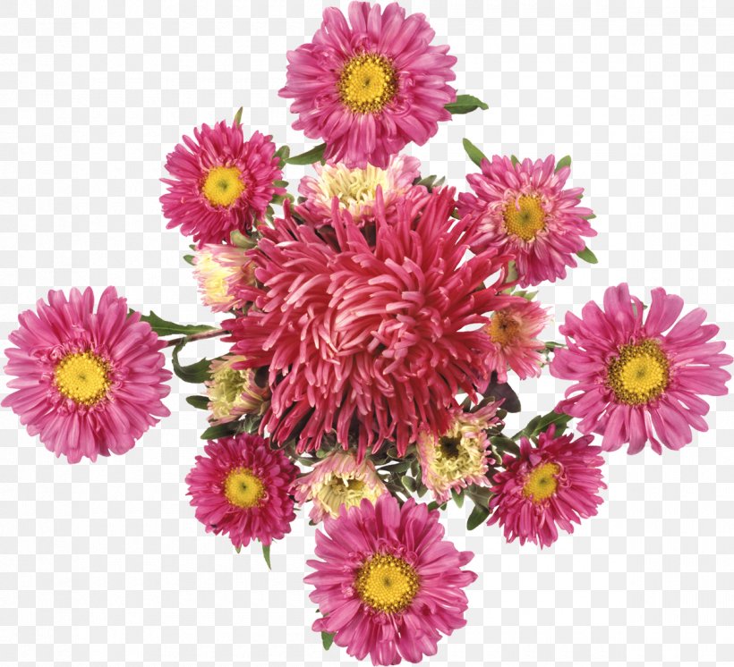 Chrysanthemum Cut Flowers, PNG, 1200x1093px, Chrysanthemum, Annual Plant, Argyranthemum Frutescens, Aster, Chrysanths Download Free