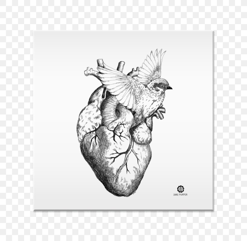 Drawing Art Sketch, PNG, 800x800px, Watercolor, Cartoon, Flower, Frame, Heart Download Free