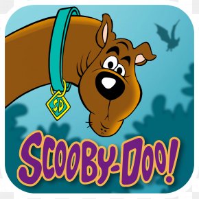 Shaggy Rogers Scooby-Doo High-definition Television High-definition ...