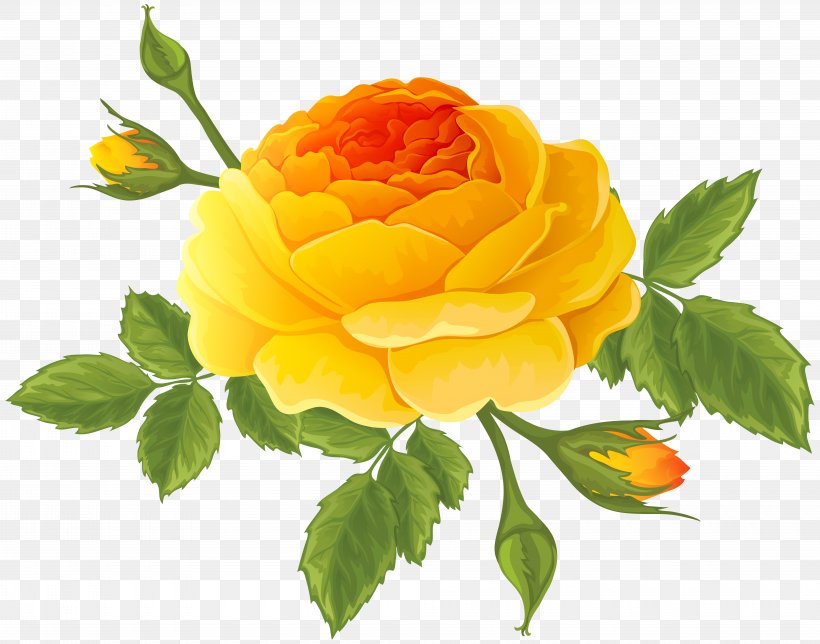 Garden Roses Centifolia Roses Cruz Ramirez Clip Art, PNG, 8000x6292px, Centifolia Roses, Animation, Bud, Cut Flowers, Dots Per Inch Download Free
