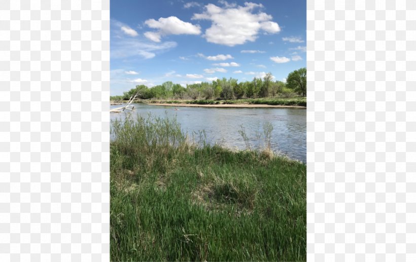 North Platte River North Platte River Lashley Land And Recreational Brokers Nature Reserve, PNG, 1170x738px, North Platte, Area, Bank, Ecosystem, Grass Download Free