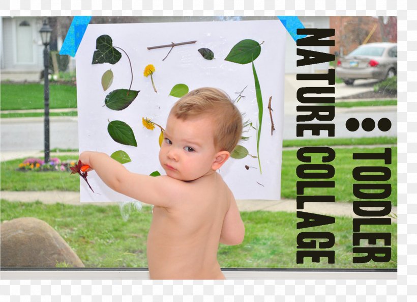 Toddler Green Picture Frames Advertising, PNG, 1629x1180px, Toddler, Advertising, Child, Green, Infant Download Free