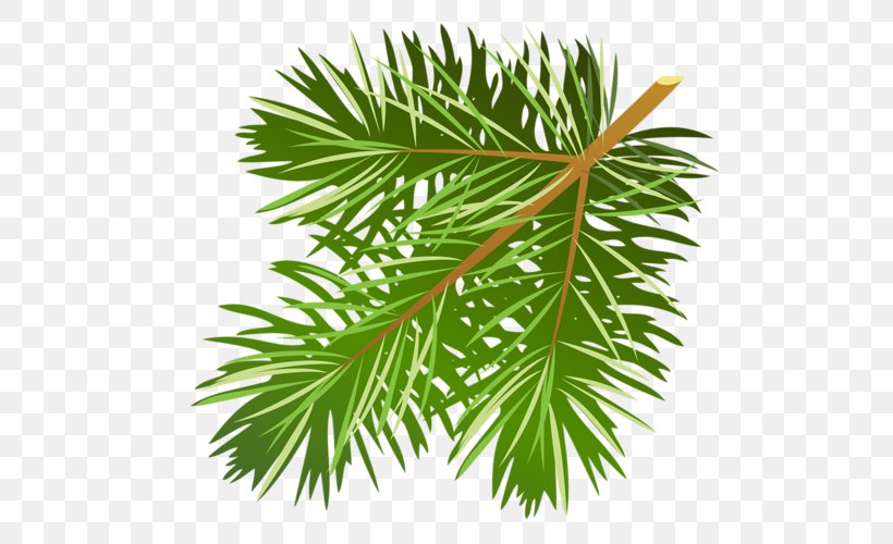 Clip Art Christmas Christmas Tree Fir Branch, PNG, 500x500px, Christmas Tree, Arecales, Borassus Flabellifer, Branch, Christmas Day Download Free