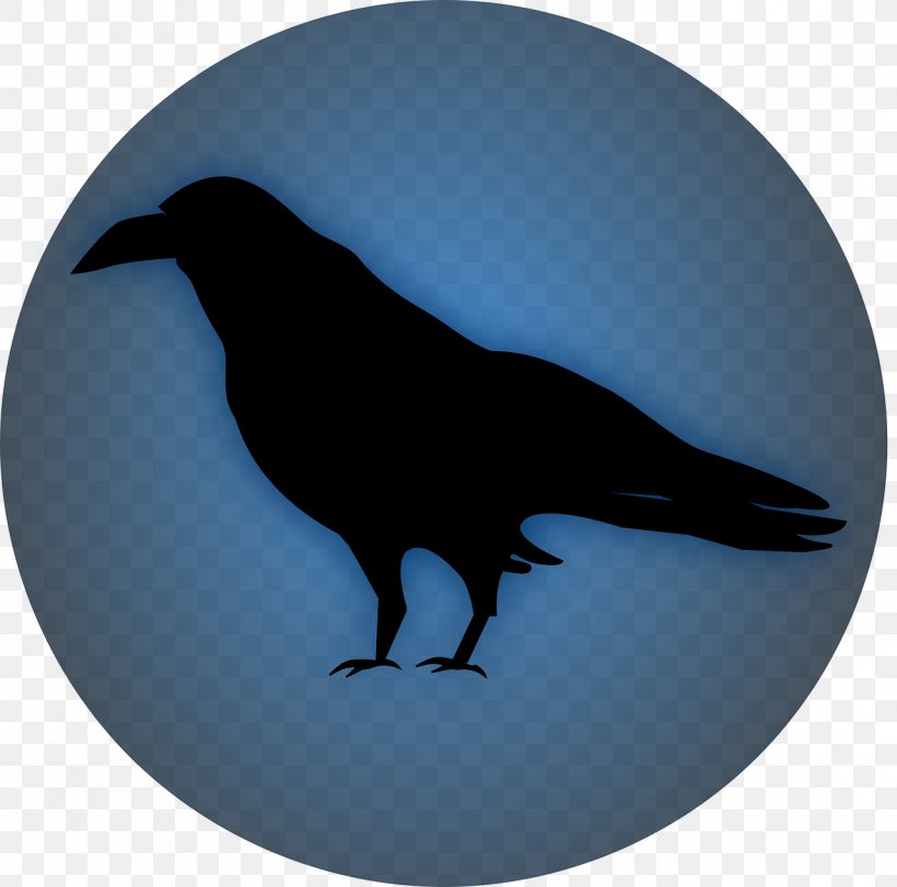 Common Raven Bird Clip Art, PNG, 1280x1266px, Common Raven, American Crow, Beak, Bird, Crow Download Free