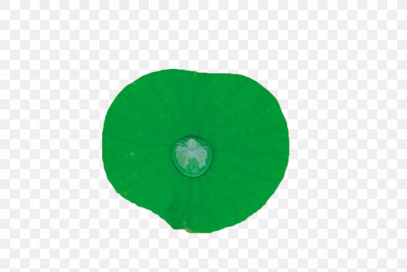 Green Leaf Circle, PNG, 1100x735px, Green, Leaf Download Free