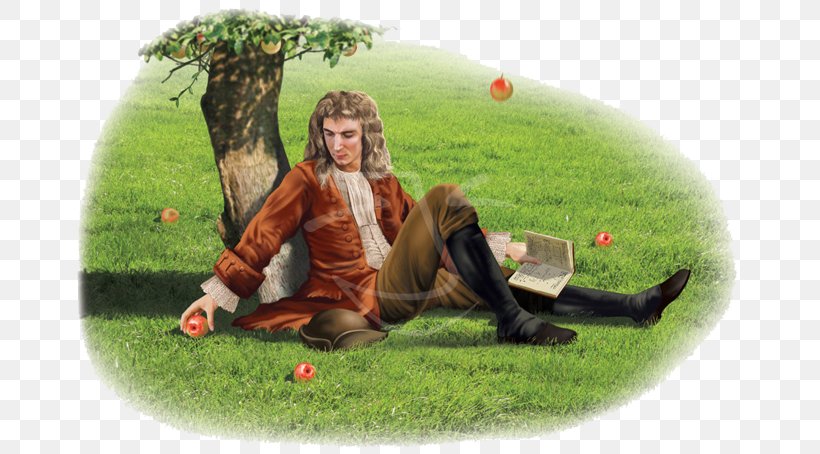 Isaac Newton Gravity Apple Tree 9653