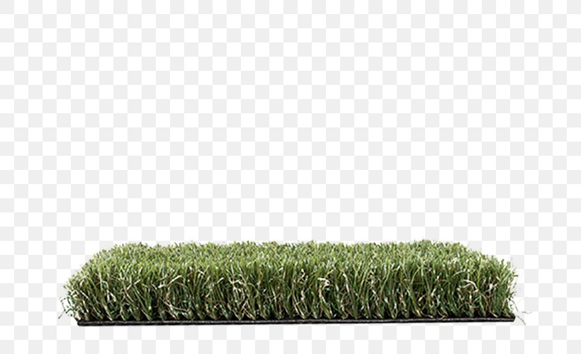 Artificial Turf Lawn Garden Synthetic Fiber Luxury Goods, PNG, 686x500px, Artificial Turf, Garden, Grass, Grass Family, Grasses Download Free
