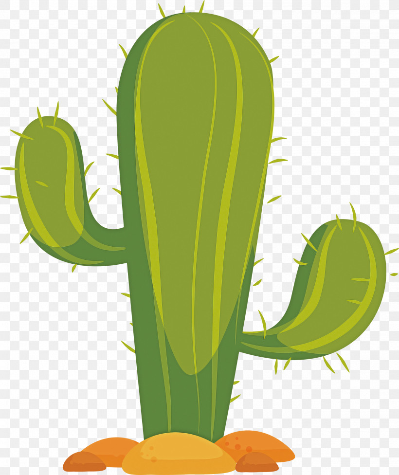 Cactus, PNG, 2519x3000px, Sticker, Android, Cactus, Flower, Flowerpot Download Free
