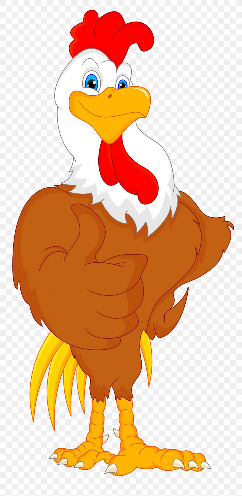 Cartoon Chicken Rooster, PNG, 2429x4983px, Cartoon, Art, Beak, Bird ...