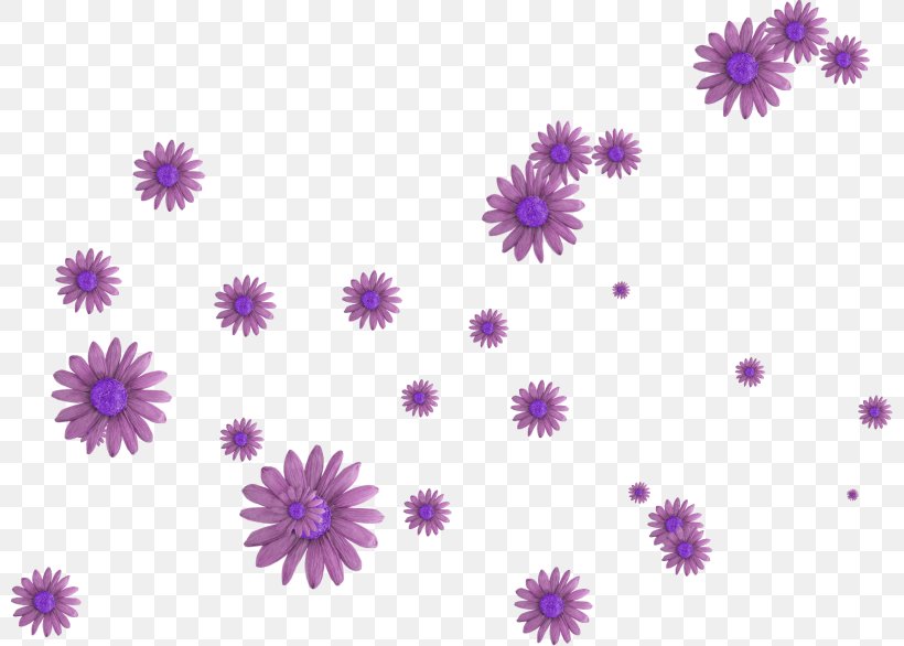 Clip Art, PNG, 800x586px, Royaltyfree, Art, Aster, Chrysanths, Dahlia Download Free