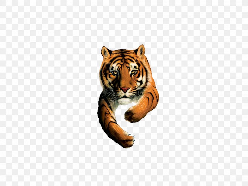 Gauteng Tiger Brands Chief Executive Business Company, PNG, 2272x1704px, Gauteng, Big Cats, Brand, Business, Carnivoran Download Free