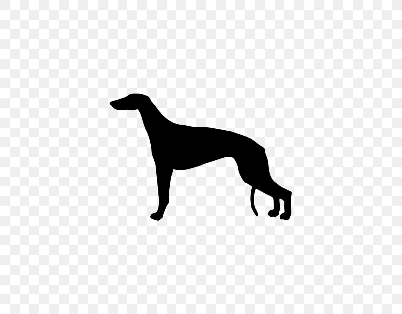 Italian Greyhound Whippet Sloughi Spanish Greyhound, PNG, 640x640px, Italian Greyhound, Black, Black And White, Bumper Sticker, Carnivoran Download Free