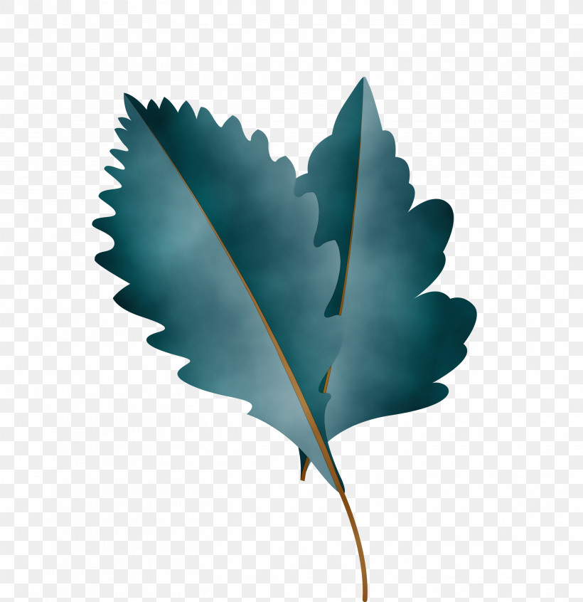 Leaf M-tree Turquoise Tree Science, PNG, 2905x3000px, Autumn Leaf, Biology, Cartoon Leaf, Fall Leaf, Leaf Download Free