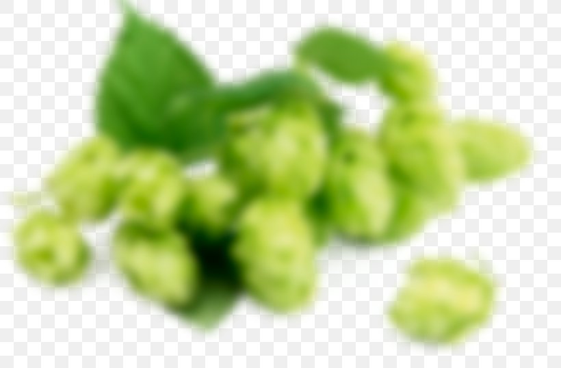 Beer Hops Common Hop Ale Food, PNG, 816x538px, Beer, Ale, Carminative, Common Hop, Dictcc Download Free