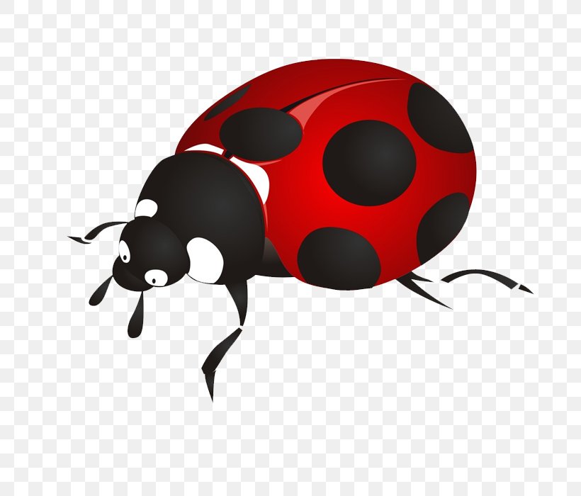 Beetle Ladybird Cartoon, PNG, 700x700px, Beetle, Cartoon, Comics, Insect, Invertebrate Download Free