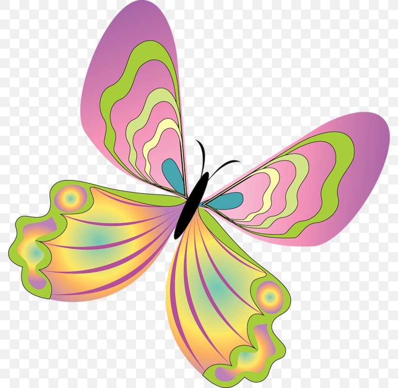 Butterfly Clip Art Image Illustration, PNG, 786x800px, Butterfly, Borboleta, Drawing, Glasswing Butterfly, Insect Download Free