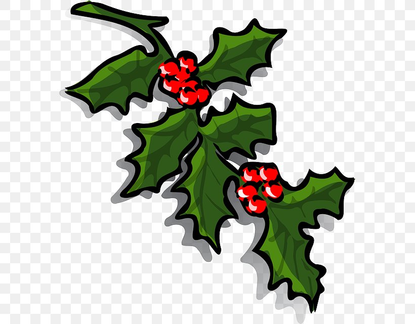 Common Holly Clip Art, PNG, 585x640px, Common Holly, Aquifoliaceae, Aquifoliales, Artwork, Branch Download Free
