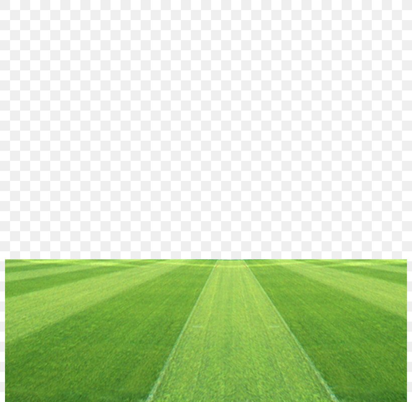 Football Pitch Grassland Stadium, PNG, 800x800px, Football Pitch, Artificial Turf, Computer, Field, Football Download Free
