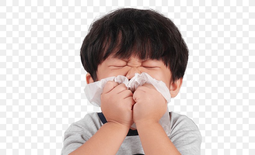 Nose Hay Fever Child Sneeze Allergy, PNG, 500x500px, Nose, Allergy, Child, Clinic, Common Cold Download Free