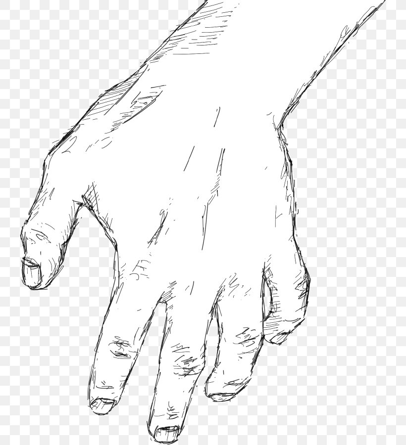 Thumb Hand Model Drawing Sketch, PNG, 739x900px, Thumb, Arm, Art, Artwork, Black And White Download Free