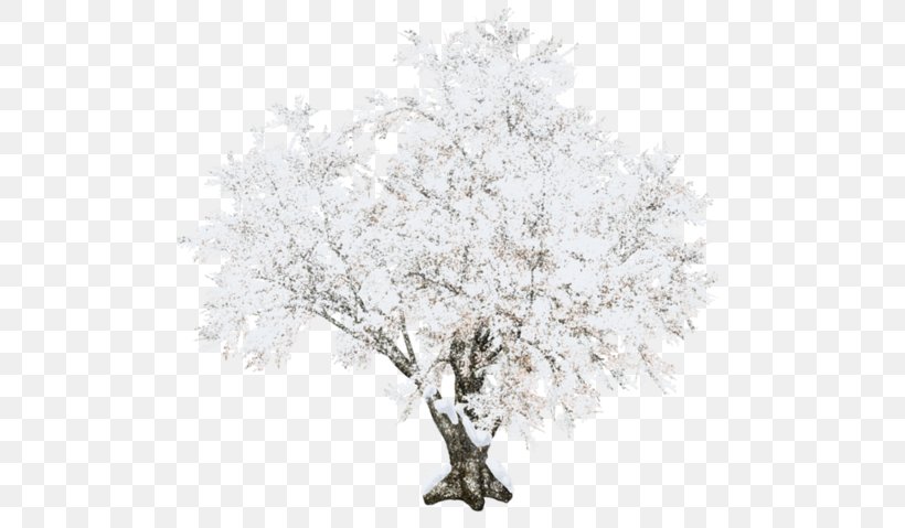Tree, PNG, 500x479px, Tree, Black And White, Branch, Frost, Snow Download Free