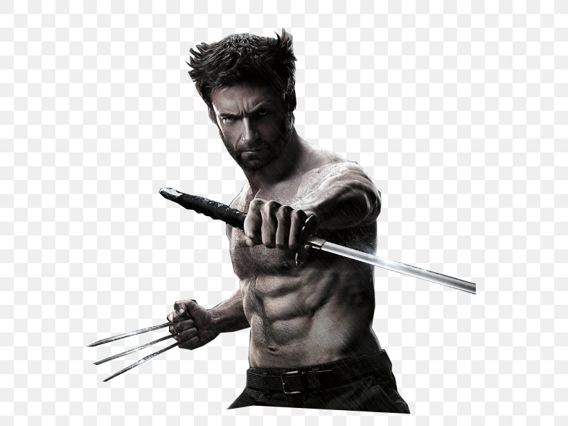 Wolverine Film Trailer X-Men Cinema, PNG, 591x615px, 20th Century Fox, Wolverine, Arm, Blu Ray Disc, Cold Weapon Download Free