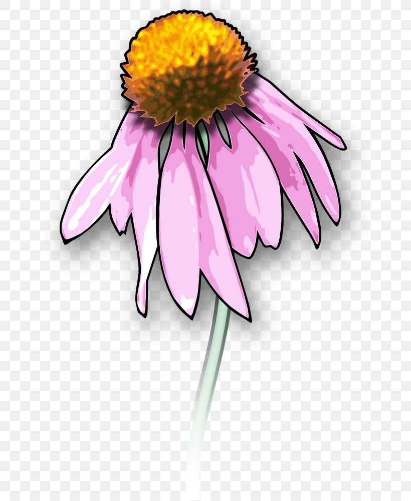 Clip Art Vector Graphics Drawing Illustration, PNG, 670x1000px, Drawing, Aster, Coneflower, Cut Flowers, Daisy Download Free
