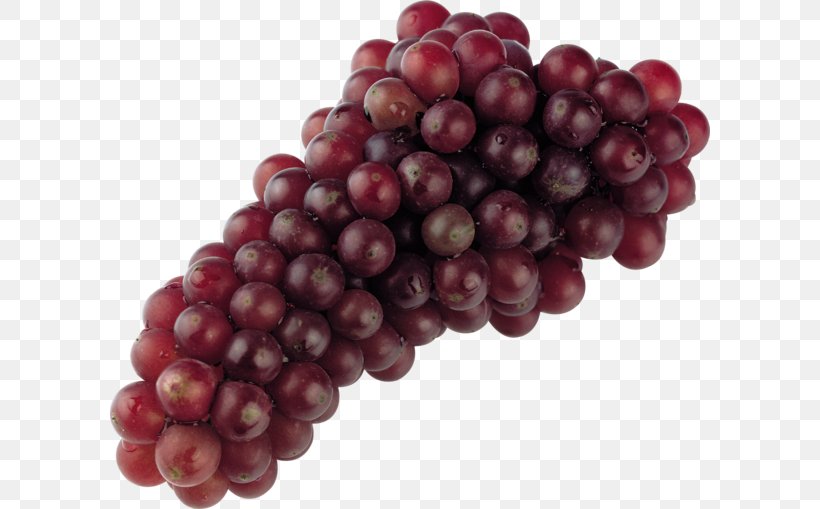 Common Grape Vine Niagara Grape Leaves Grapefruit, PNG, 600x509px, Common Grape Vine, Berry, Boysenberry, Cranberry, Cucumber Download Free