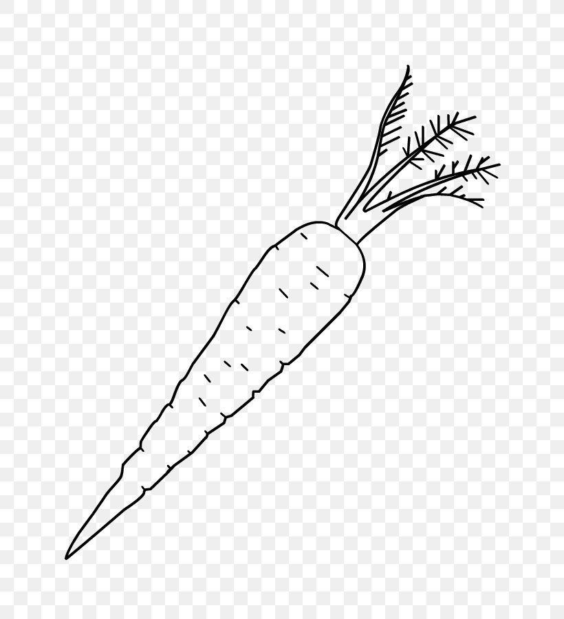 Drawing carrot 27+ carrot