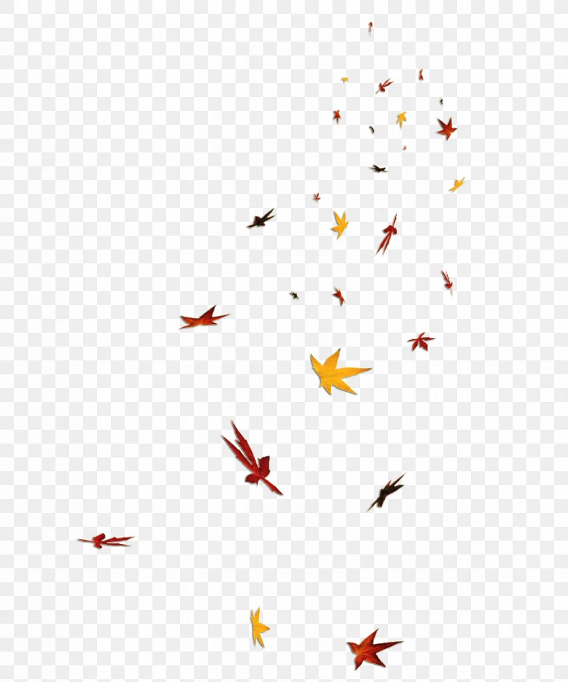 Maple Leaf Petal Clip Art, PNG, 853x1024px, Leaf, Autumn, Autumn Leaf Color, Beak, Green Download Free