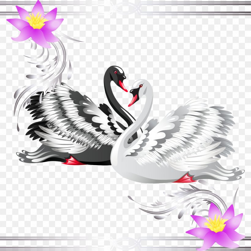 Black Swan Royalty-free Stock Photography Clip Art, PNG, 1314x1312px, Black Swan, Bird, Chicken, Cygnini, Drawing Download Free