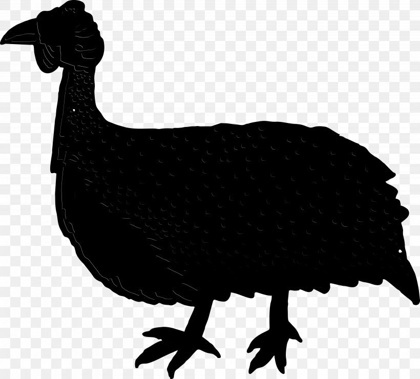 Chicken Ducks, Geese And Swans Cygnini Goose Bird, PNG, 4000x3610px, Chicken, Beak, Bird, Chicken As Food, Cygnini Download Free