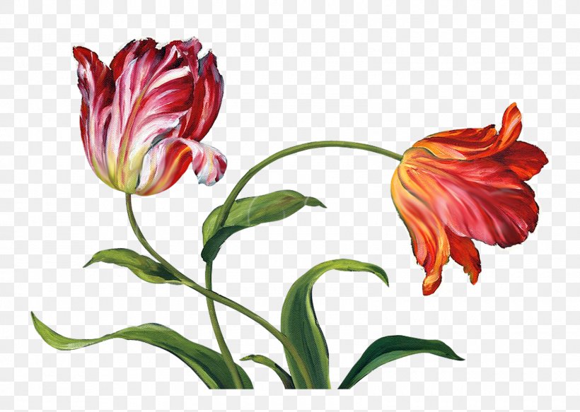 Flower Floral Design Tulip Painting Canvas Print, PNG, 1600x1139px, Flower, Art, Canvas, Canvas Print, Cut Flowers Download Free