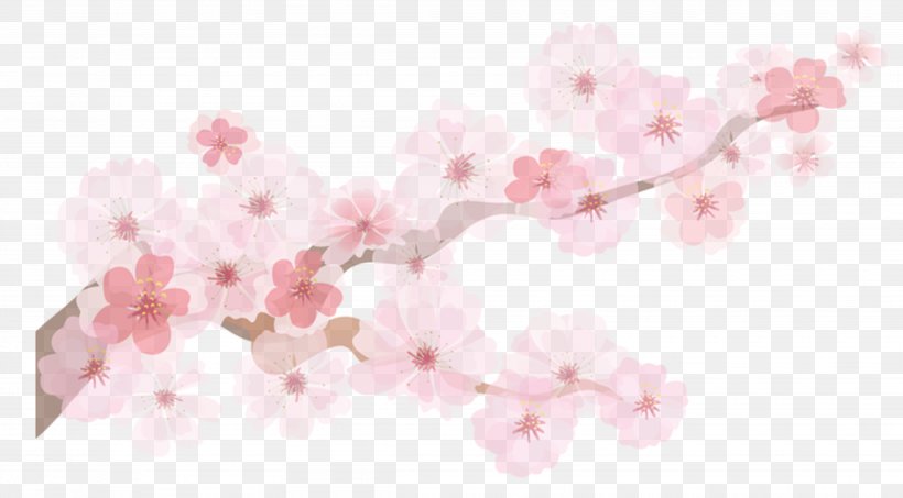 Paper Cherry Blossom Clip Art, PNG, 3896x2156px, Paper, Advertising, Blossom, Cherry, Cherry Blossom Download Free