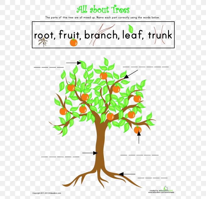 Tree Diagram Tree Diagram Worksheet Drawing, PNG, 612x792px, Diagram, Area, Branch, Chart, Decision Tree Download Free