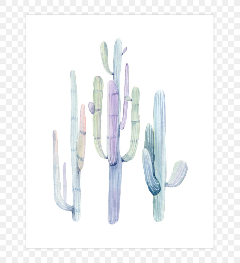 Watercolor Painting Drawing Art, PNG, 740x900px, Watercolor Painting, Art, Cactaceae, Canvas Print, Digital Art Download Free