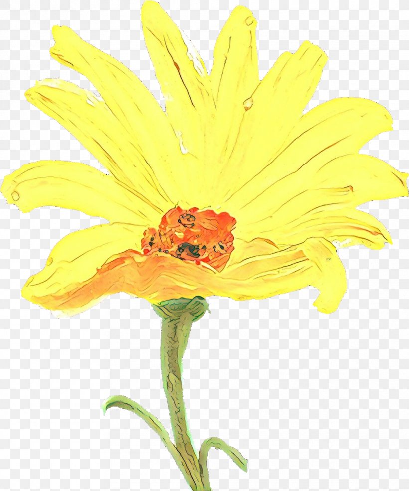 Flower Yellow Flowering Plant Plant Petal, PNG, 1011x1215px, Cartoon, Cut Flowers, Flower, Flowering Plant, Gerbera Download Free