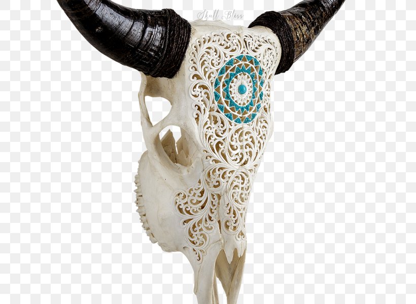 Horn Animal Skulls Bison Cattle, PNG, 600x600px, Horn, Animal Skulls, Antler, Art, Barbed Wire Download Free