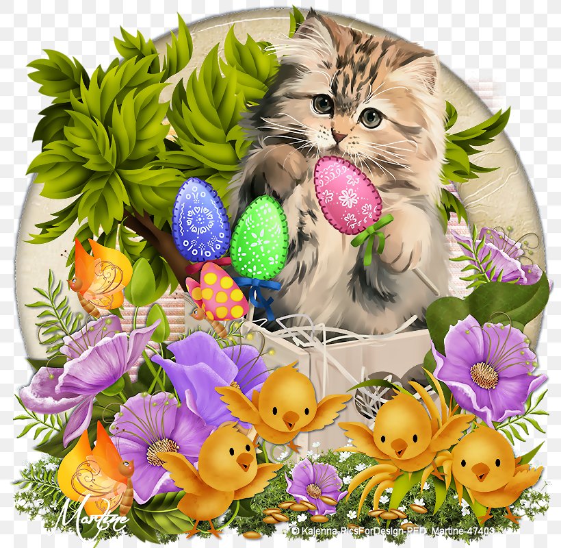 Kitten Whiskers Easter Egg Floral Design, PNG, 800x800px, Kitten, Carnivoran, Cat, Cat Like Mammal, Easter Download Free