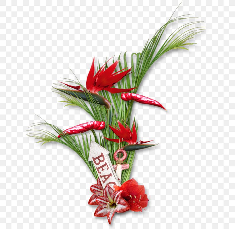 Floral Design Cut Flowers Strelitzia Reginae, PNG, 643x800px, Floral Design, Bird Of Paradise Flower, Christmas Ornament, Cut Flowers, Floristry Download Free