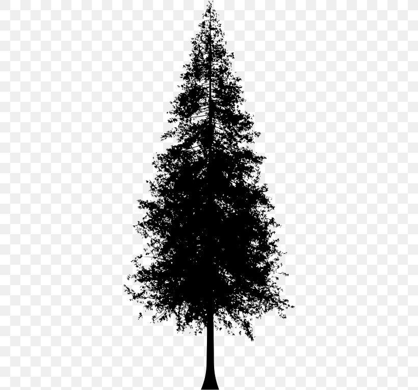 Redwood National And State Parks Coast Redwood Tree Clip Art, PNG, 338x766px, Redwood National And State Parks, Black And White, Branch, Christmas Decoration, Christmas Ornament Download Free