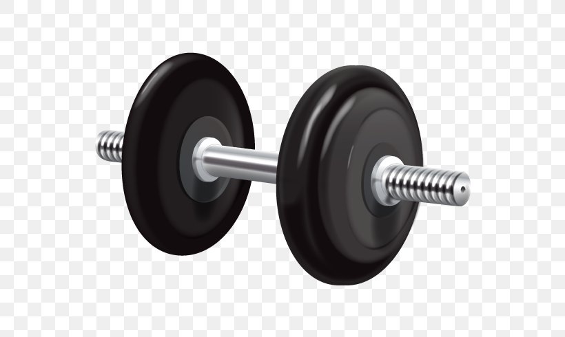 Weight Training Physical Exercise Physical Fitness Fitness Centre, PNG, 658x490px, Weight Training, Barbell, Bodybuilding, Bodyweight Exercise, Dumbbell Download Free