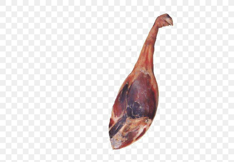 Bayonne Ham Sausage Bacon Domestic Pig, PNG, 455x567px, Ham, Animal Source Foods, Bacon, Bayonne Ham, Curing Download Free